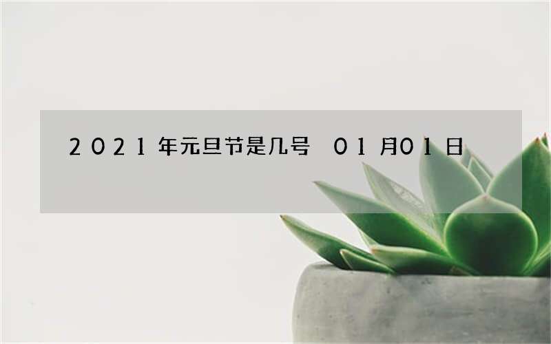2021年元旦节是几号 01月01日